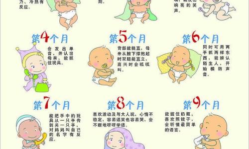 【沙生的功效与作图片】沙魚功效 - 沙切功效网